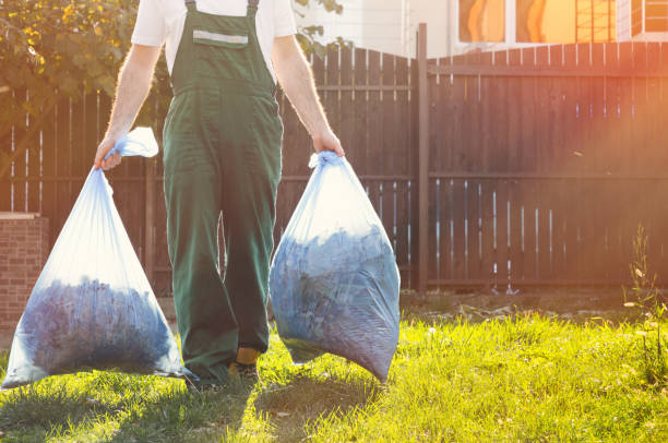 Best Dumpster Rental Services  in Churchville, NY